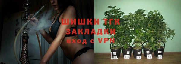 шишки Алексеевка