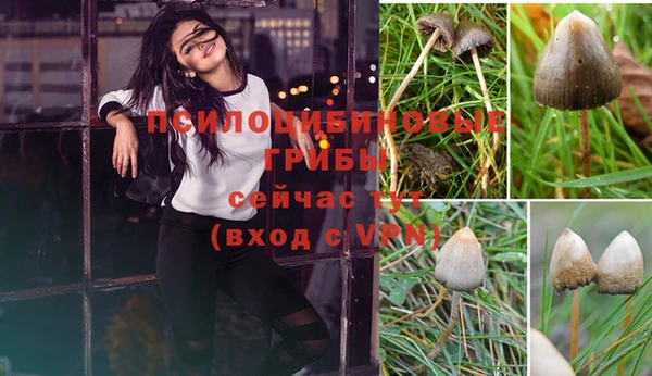 прущая мука Абдулино