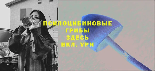 таблы Алзамай