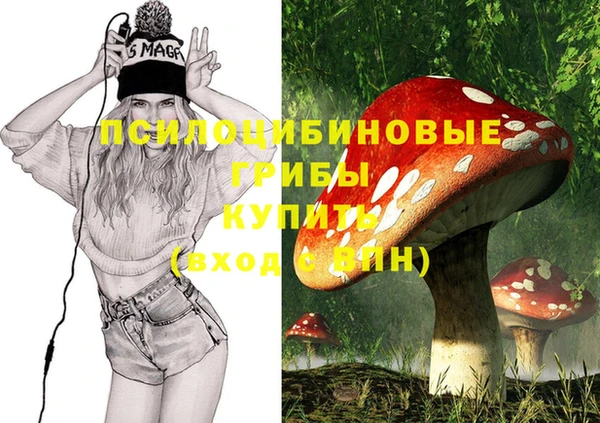тгк Абаза