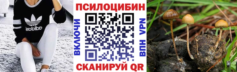 ОМГ ОМГ ТОР  Микунь  Псилоцибиновые грибы прущие грибы 